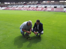 Los trabajos específicos de mantenimiento del césped han centrado las actuaciones de fin de temporada del Campo de Fútbol Municipal Las Gaunas