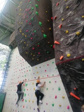 Logroño Deporte ha renovado los rocódromos de Las Norias y Las Gaunas, incrementando rutas de escalada con distintos niveles de dificultad